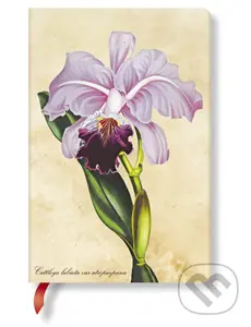 Paperblanks - zápisník Brazilian Orchid