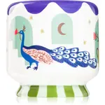 Paddywax A Dopo Peacock Blue vonná svíčka 226 g