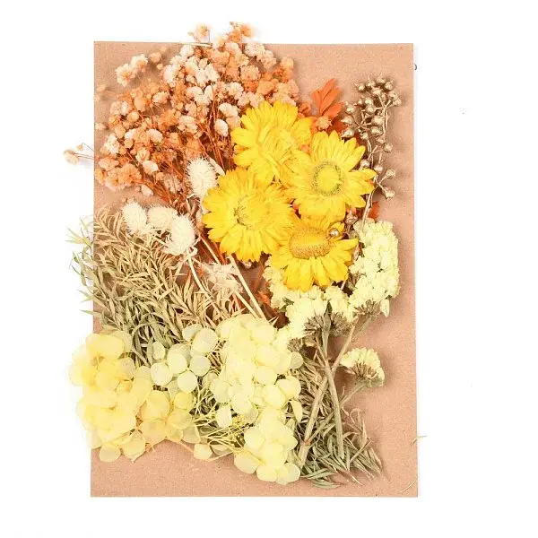 Dried Flower