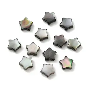 Natural Black Lip Shell Beads