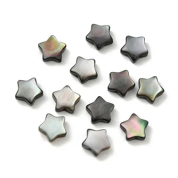 Natural Black Lip Shell Beads