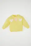 DEFACTO Baby Girl Heart Patterned Crew Neck Knitted Sweater