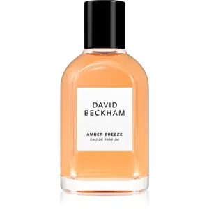 David Beckham Amber Breeze parfémovaná voda pro muže 50 ml