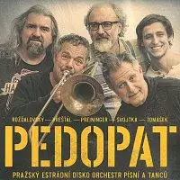 Pedopat (Pražský estrádní disko orchestr písní a tanců) – Pedopat (Pražský estrádní disko orchestr písní a tanců)