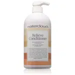Waterclouds Relieve kondicionér pro zářivý lesk 1000 ml