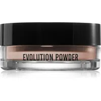 Danessa Myricks Beauty Evolution Powder sypký transparentní pudr odstín #2 11 g