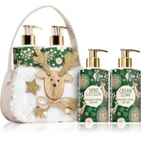 Vivian Gray Natural Christmas Green Tea & Citrus dárková sada na ruce