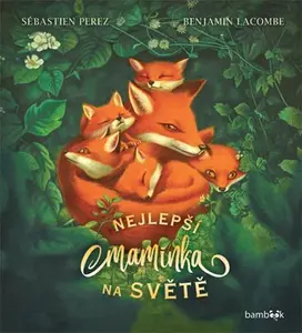 Kniha: Nejlepší maminka na světě od Perez Sébastien