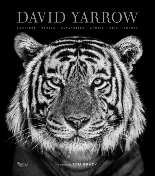 David Yarrow Photography - Brady Tom, David Yarrow