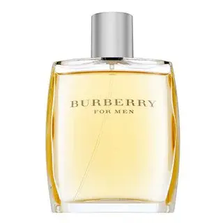Burberry For Men toaletná voda pre mužov 100 ml