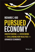 Pursued Economy - Richard C. Koo