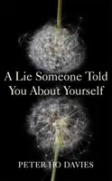 A Lie Someone Told You About Yourself - Peter Ho Davies