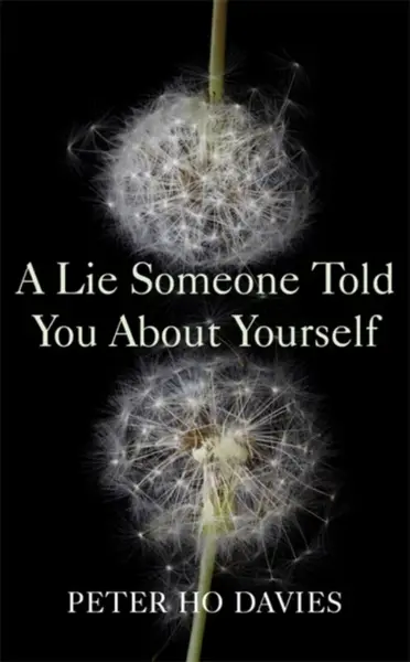 A Lie Someone Told You About Yourself - Peter Ho Davies