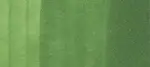 Copic classic marker – YG67 Moss