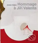 - kniha z kategorie Maliarstvo a sochárstvo