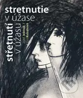 Stretnutie v úžase  / Střetnutí v úžasu - Jozef Jelenák, Eva Kubáňová - kniha z kategorie Poezie