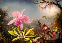 Martin Johnson Heade - Cattleya Orchid and Three Hummingbirds, 1871 - puzzle z kategorie Umělecké