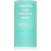 Neogen Dermalogy Canadian Clay Pore Stick Mask hloubkově čisticí maska pro stažení pórů 28 g