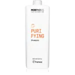 Framesi Morphosis Purifying čisticí šampon proti lupům 1000 ml