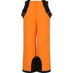 Children's Ski Pants Provo W-PRO 10000