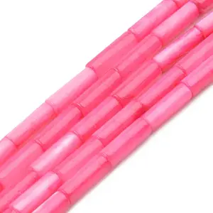 Natural Freshwater Shell Beads Strand