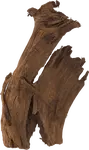Repti Planet kořen DriftWood Bulk M 29-36cm