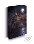 Harry Potter Obraz LED svietiaci - Rokfort hrad