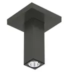 Hansgrohe - Sprchové rameno stropné, 11 cm, kefovaný čierny chróm 24338340