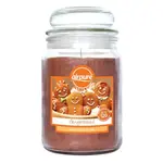 AIRPURE Vonná svíčka Gingerbread 510 g