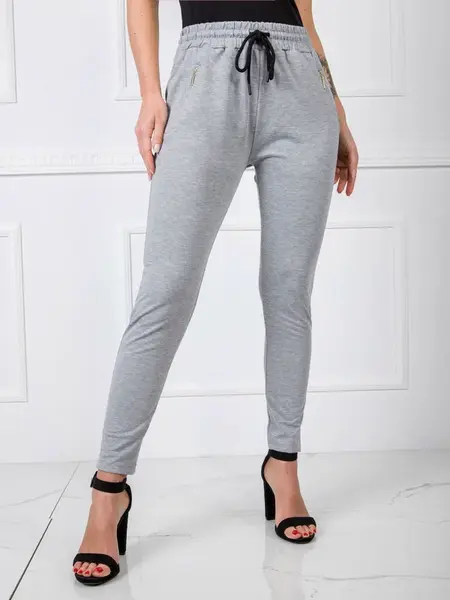 Sweatpants-RV-DR-5465.09X-gray