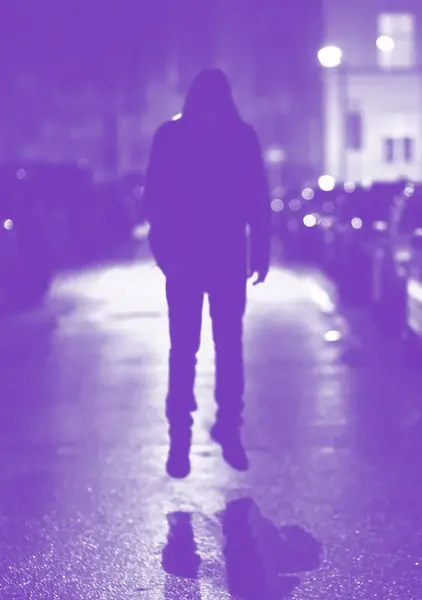 Princové jsou na koksu - Pavel Sobek