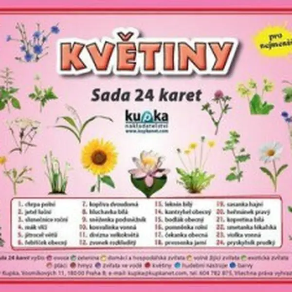 Sada 24 karet Květiny - Petr Kupka