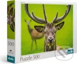 Jelen - puzzle z kategorie Zvířata