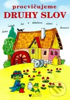 Procvičujeme druhy slov - Vlasta Blumentrittová - kniha z kategorie Naučné knihy