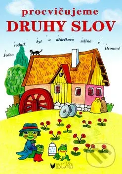 Procvičujeme druhy slov - Vlasta Blumentrittová - kniha z kategorie Naučné knihy