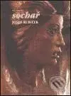 Sochař Josef Kubíček - Jiří Hlušička - kniha z kategorie Malířství a sochařství