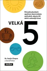 Velká pětka - David Fisher, Chopra Sanjiv, Ivan Kušiak