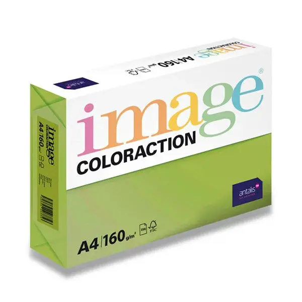 Barevný papír Image Coloraction, 160 g, 250 listů - Středně zelená