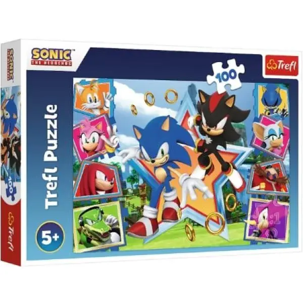 Trefl Puzzle 100 dílků - Seznamte se se Sonicem / SEGA Sonic The Headgehog