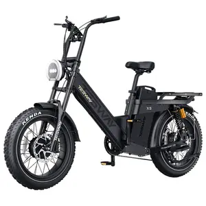 TESWAY X5 AWD Electric Bike 1000W Dual Motor 52V 60Ah Black