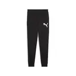Puma ESS Metallic Sweatpants TR S