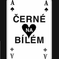 Černé na bílém / bílé na černém - Jan Plachetka