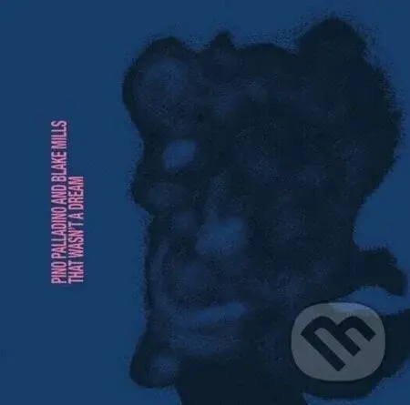 Pino Palladino And Blake Mills:  That Wasn´T A Dream LP