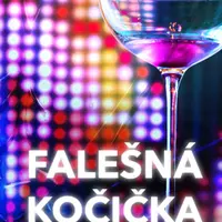 Falešná kočička - Naďa Horáková - e-kniha