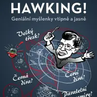Prostě Hawking! - Geniální myšlenky vtipně a jasně - Rüdiger Vaas