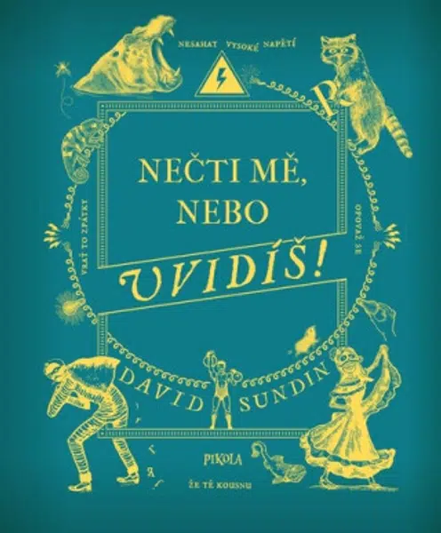 Nečti mě, nebo uvidíš! - David Sundin