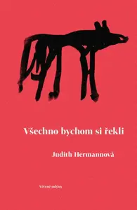 Všechno bychom si řekli - Judith Hermannová