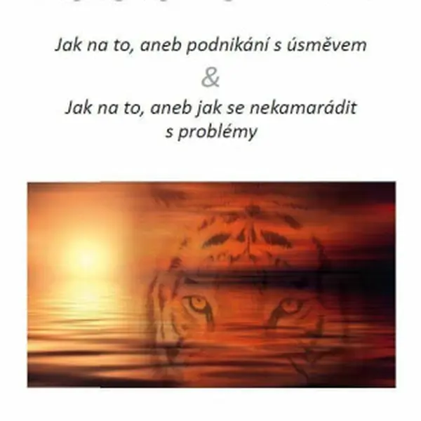 (Ne)komplexní průvodce podnikáním: jak na to, aneb podnikání s úsměvem & jak na to, aneb jak se nekamarádit s problémy - Ebert Jiří