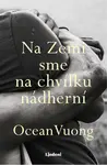 Na Zemi sme na chvíľku nádherní - Ocean Vuong - e-kniha
