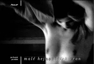 Malé hejno bílých vran - Jan Velíšek